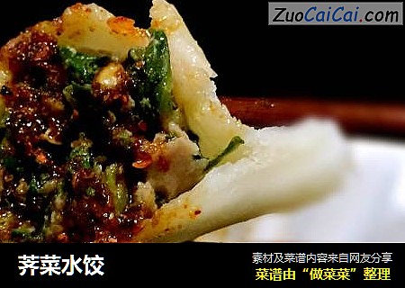 荠菜水饺