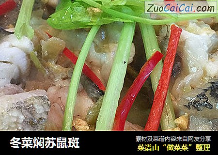 冬菜焖苏鼠斑