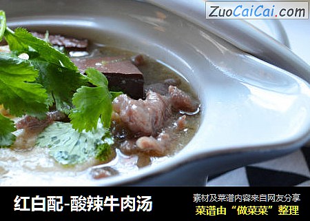 红白配-酸辣牛肉汤