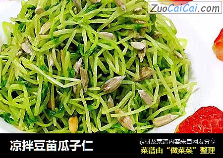 凉拌豆苗瓜子仁