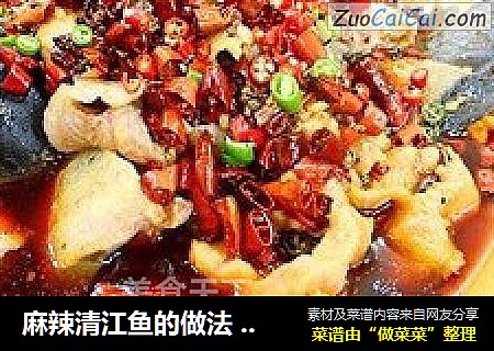 麻辣清江鱼的做法水煮馋小江