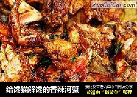 给馋猫解馋的香辣河蟹