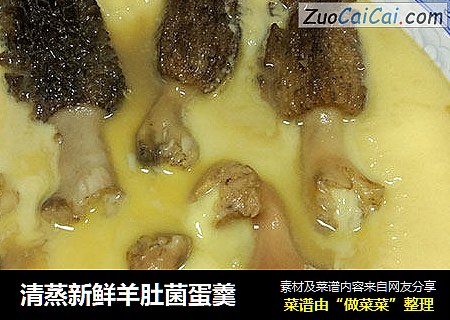 清蒸新鲜羊肚菌蛋羹