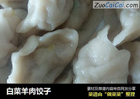 白菜羊肉饺子