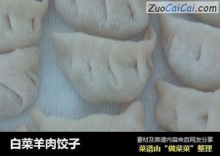 白菜羊肉饺子