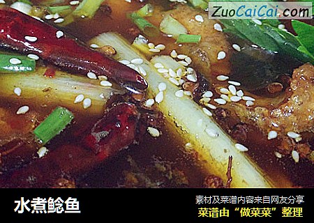 水煮鲶鱼