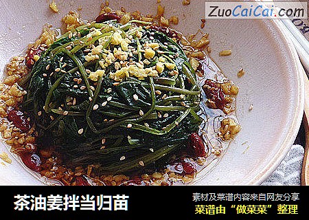 茶油姜拌当归苗