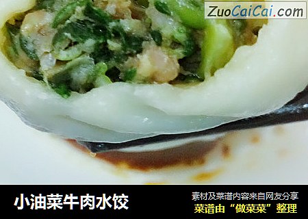 小油菜牛肉水饺