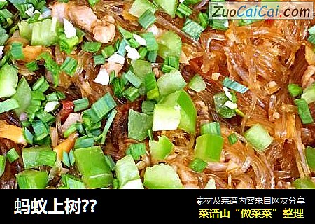 蚂蚁上树??