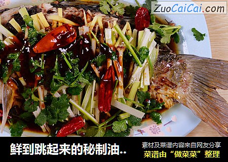 鲜到跳起来的秘制油泼鲤鱼