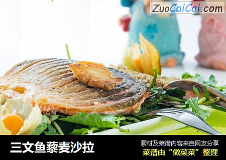 三文鱼藜麦沙拉