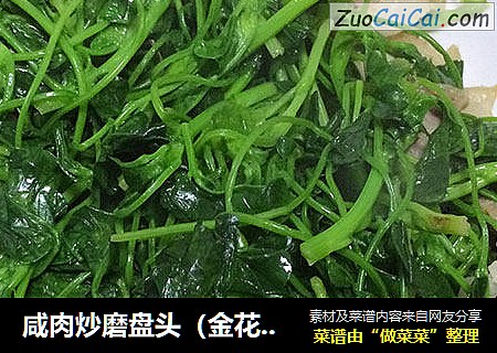 咸肉炒磨盘头（金花菜）