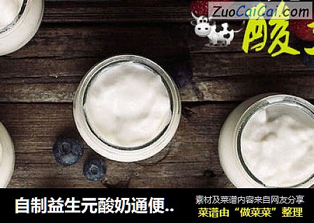 自制益生元酸奶通便排毒瘦身伴侣 