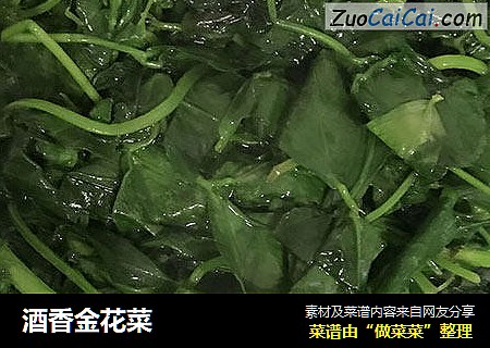 酒香金花菜