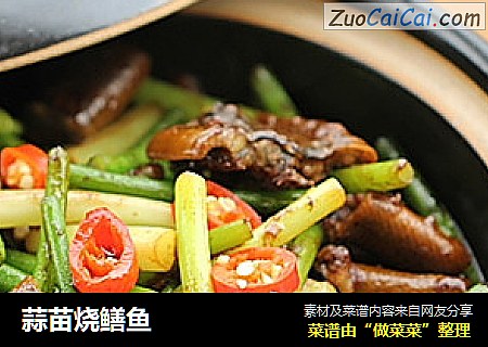 蒜苗烧鳝鱼