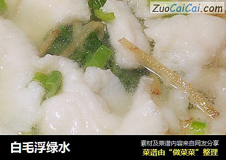 白毛浮绿水