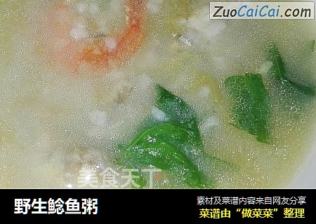 野生鲶鱼粥