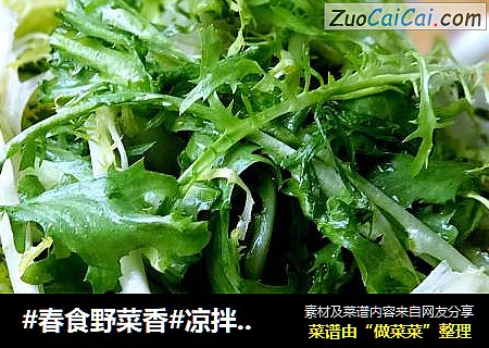 #春食野菜香#凉拌苦菊