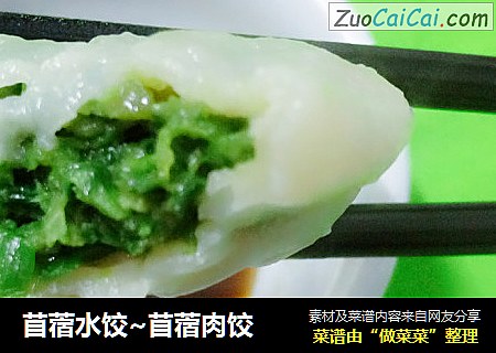 苜蓿水饺~苜蓿肉饺