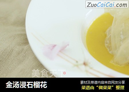 金汤浸石榴花
