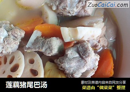 莲藕猪尾巴汤