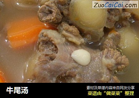 牛尾汤