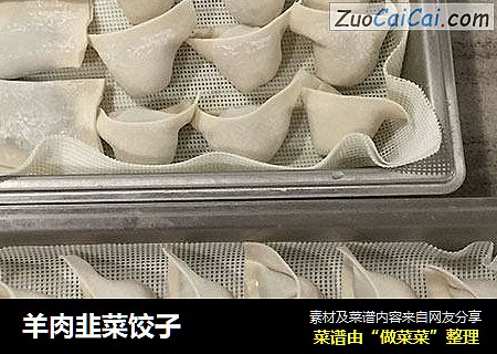 羊肉韭菜饺子