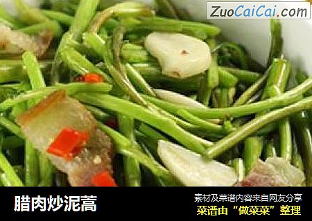 腊肉炒泥蒿