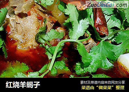 红烧羊蝎子