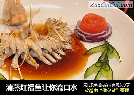 清蒸红福鱼让你流口水