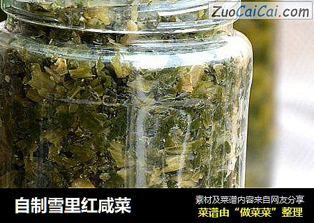 自制雪里红咸菜
