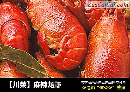【川菜】麻辣龙虾