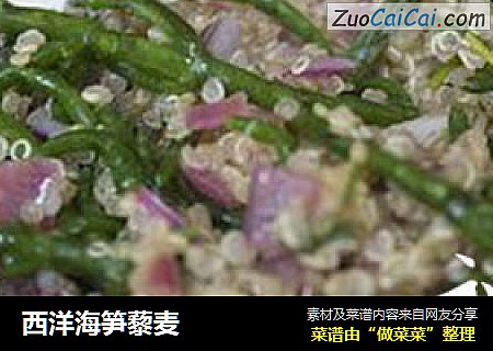 西洋海笋藜麦