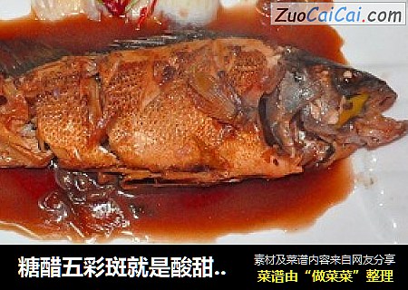 糖醋五彩斑就是酸甜好味道