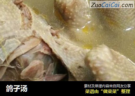 鸽子汤