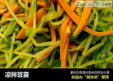 凉拌豆苗