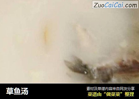 草鱼汤