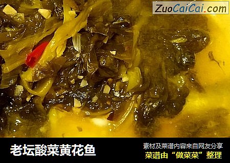 老坛酸菜黄花鱼