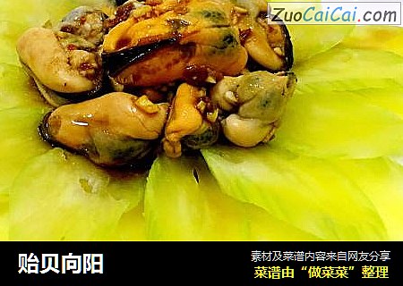 贻贝向阳