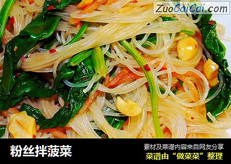粉丝拌菠菜