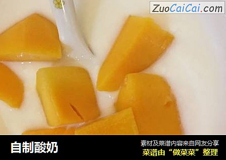 自制酸奶