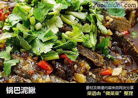 锅巴泥鳅