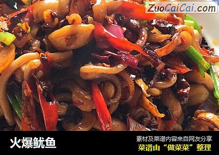 火爆鱿鱼