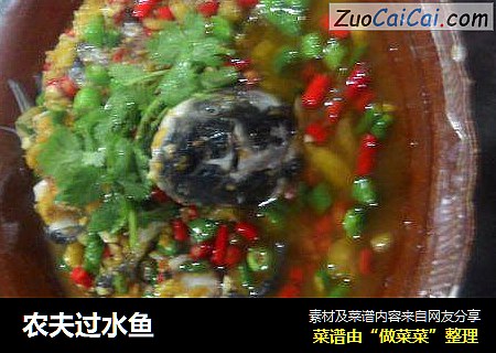 农夫过水鱼