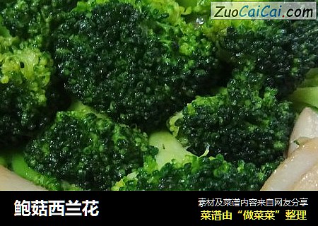 鲍菇西兰花