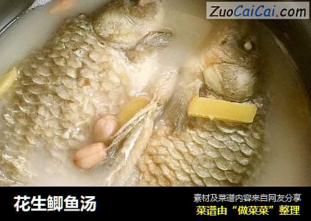 花生鲫鱼汤