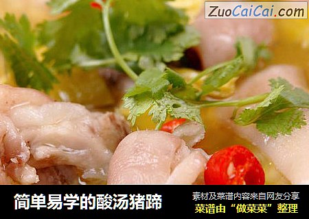 简单易学的酸汤猪蹄