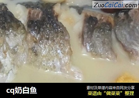 cq奶白鱼