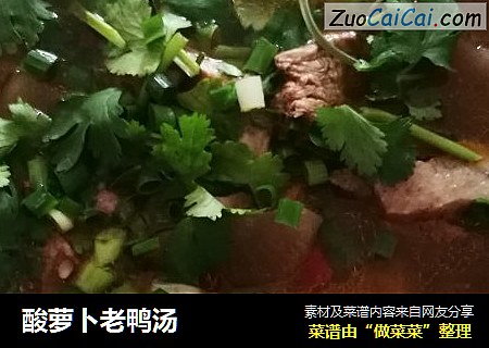 酸萝卜老鸭汤