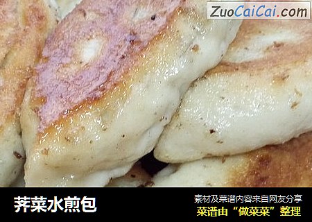 荠菜水煎包
